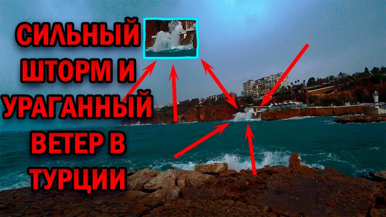 Шторм авто город свободный