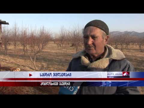 დაუმუშავებელი მიწების გამო გლეხებს შესაძლოა ჯარიმა დაეკისროთ 23.01.2015