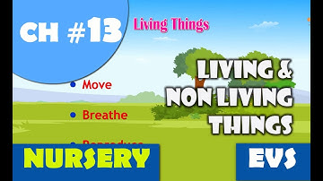 Chapter 13 + Living and Non Living Things + Nursery Syllabus + EVS + Environmental Science