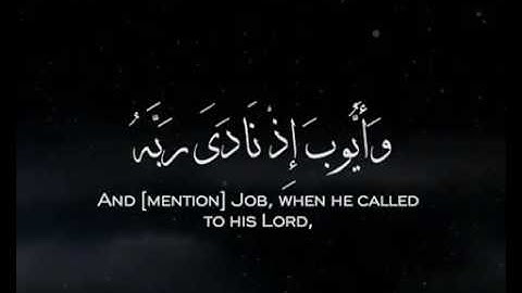 القارئ / زيد الزبيدي