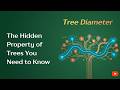 1. Master Tree Diameter from Scratch: The 2-DFS Approach (CSES Tree Diameter)