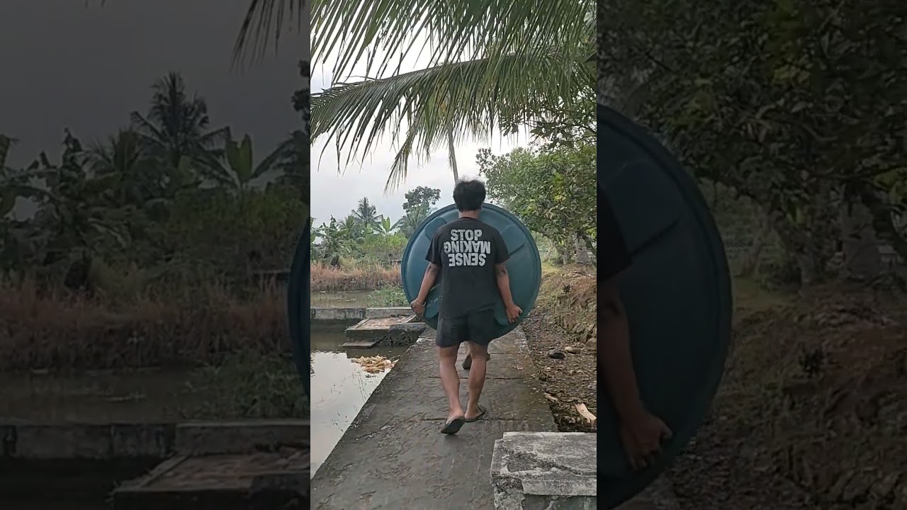 Garansi 18 tahun #shorts