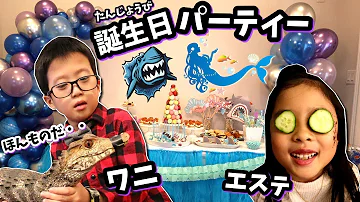 かほせい誕生日 تحميل Download Mp4 Mp3