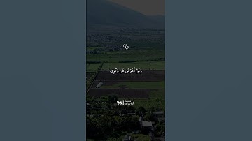 سورة طه #اسلام_صبحي #قرآن #قران_كريم #quran #اكسبلور #لايك #راحة_نفسية
