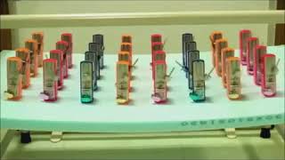 D Synchronization 32 Metronome Synchronization