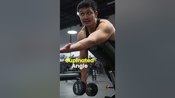 Grow your back with Seal Rows | Jeet Selal