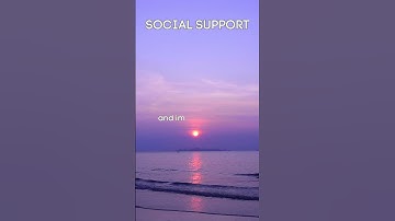 The Power of Connection: Harnessing the Healing Force of Social Support