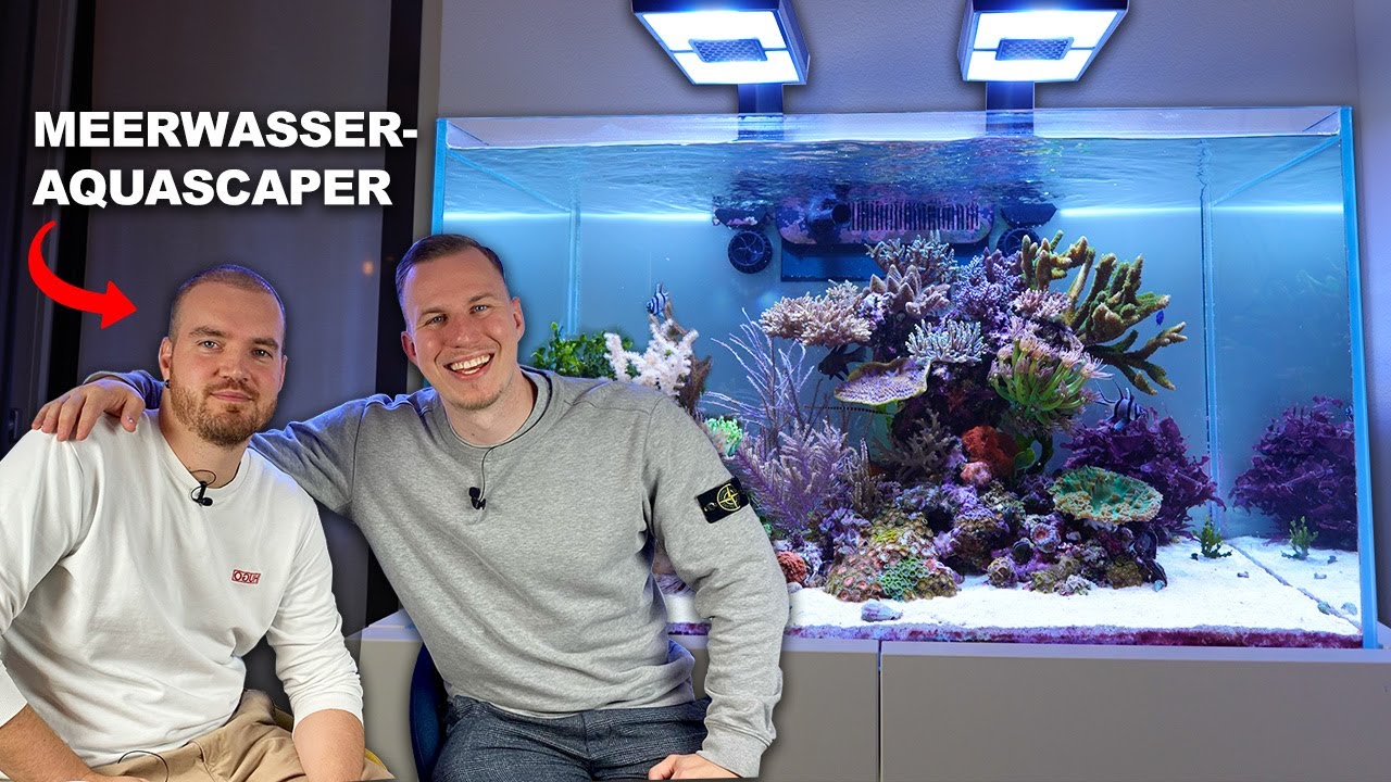 Dieses AQUARIUM hat hier gefehlt!!..  Coral_fish-zoa besuchen in der Schweiz 🪸