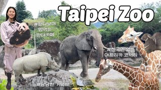 🇹🇼 나혼자 대만여행 3일차(2) : 판다를 보며 밥 먹는 카페가 있다?! I 아시아에서 제일 큰 타이베이 동물원 🦒🐘🦓