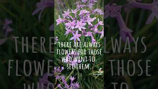 There are always flowers for those who want to see them. - Henri Matisse #inspiration  #nature