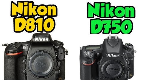 So sánh nikon d750 vs d800 năm 2024