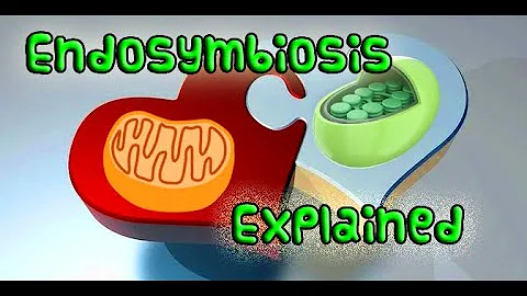 ENDOSYMBIOTIC THEORY EXPLAINED - Common Exam Questions!
