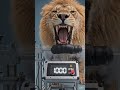 Ultra Realistic Loin Bite Test in 4K  #biteforce #cgi #wildlife #4k #animalattack #loinattack