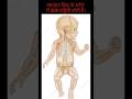 #humanbodybone #bones #biology #shorts #shortvideoviral #shortsyoutube #ncert