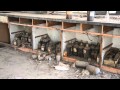 Union Carbide Bhopal Factory 2011 - Short Virtual Tour