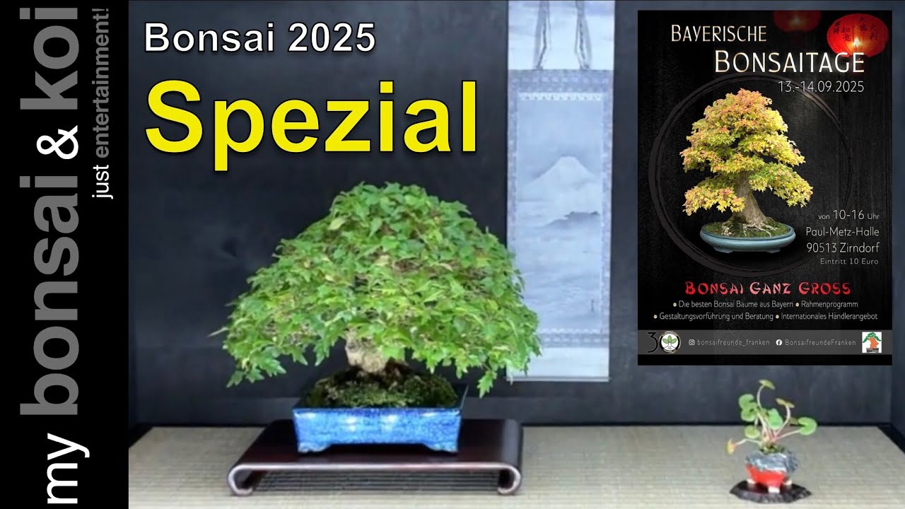 Bonsai 2025-37 - Spezial - Bayerische Bonsaitage in Zirndorf