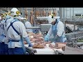 Делегации из Монголии показали мясоперерабатывающее и убойное производство "Тамбовского бекона"