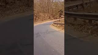 Driving Car #fronx #deltaplus #nexa #vlog #status #travel