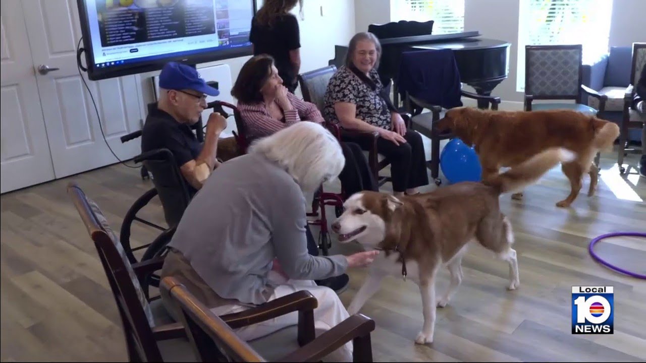 Therapy dogs helpings seniors at assisted living facilities feel the love during holidays