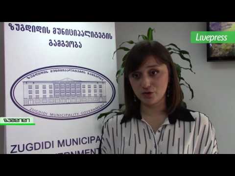 ბრალდებები საარჩევნოდ