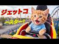 【まさか】遊園地に行けず涙したここにゃん…頑張って働いた最後にもらった「奇跡のチケット」とは？🎢🐱✨