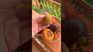 Its Chewy Cookie Haha Jk