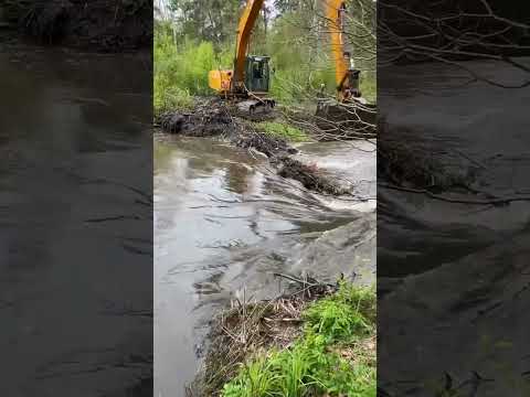 Beaver dam removal