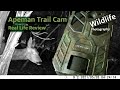 Apeman H80 Trail Camera Review 2021 | Real life test | UK Wildlife and Nature Photography