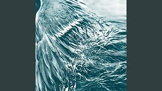 Your Truth Will Set Our Spirit Free