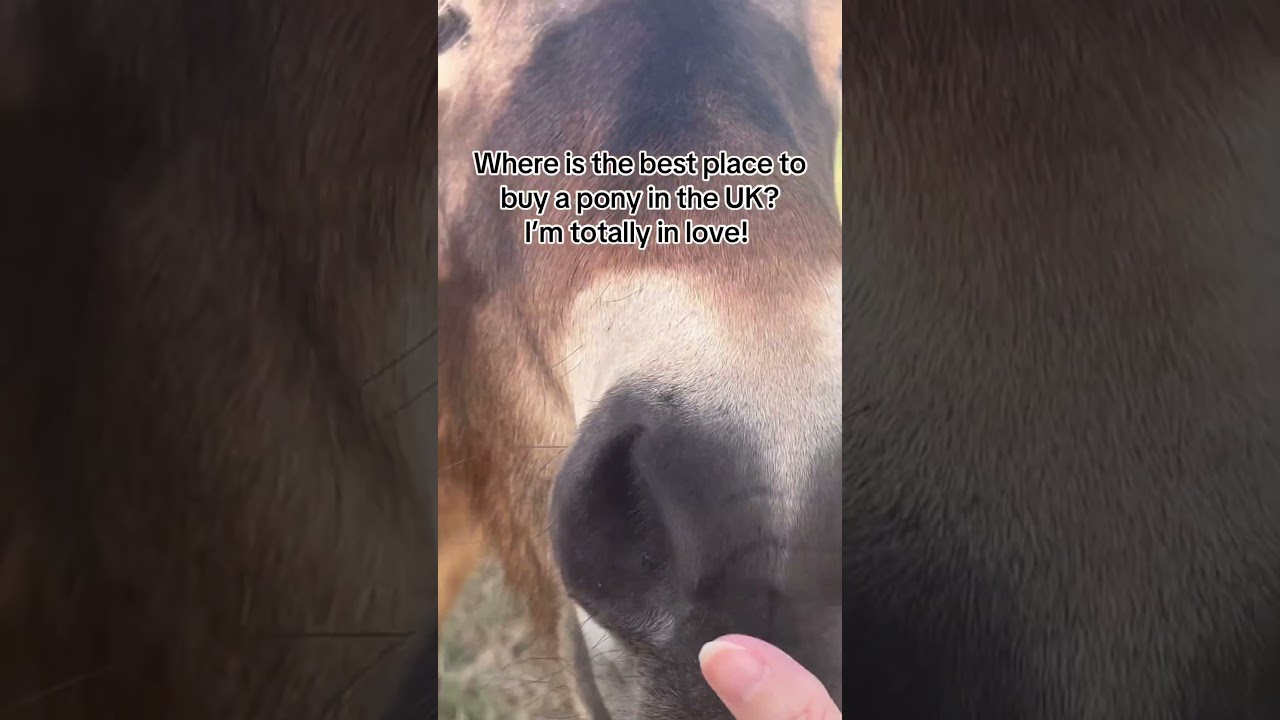 Totally falling in love!