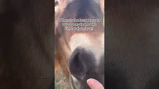 Totally Falling In Love