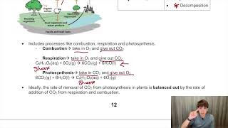 The Carbon Cycle Explained: Photosynthesis, Respiration & Combustion | O-Level & IGCSE Chemistry
