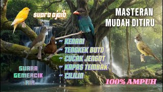Download Lagu MASTERAN KOMBINASI MUDAH DI TIRU !! MASTERAN JUARA MP3