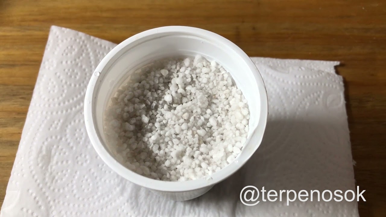 Proceso de clonación de cannabis