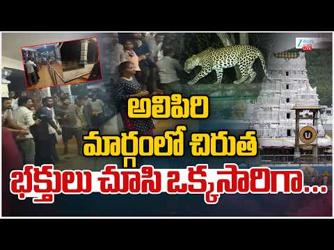 LIVE: Leopard Spotted In Alipiri Steps | Tirupathi|అలిపిరి మార్గంలో చిరుత భక్తులు చూసి ఒక్కసారిగా... - ZEE24TELUGUNEWS