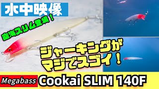 【水中映像】待望の空海スリム140Fが発売!完成度が鬼でした、、【シーバス】