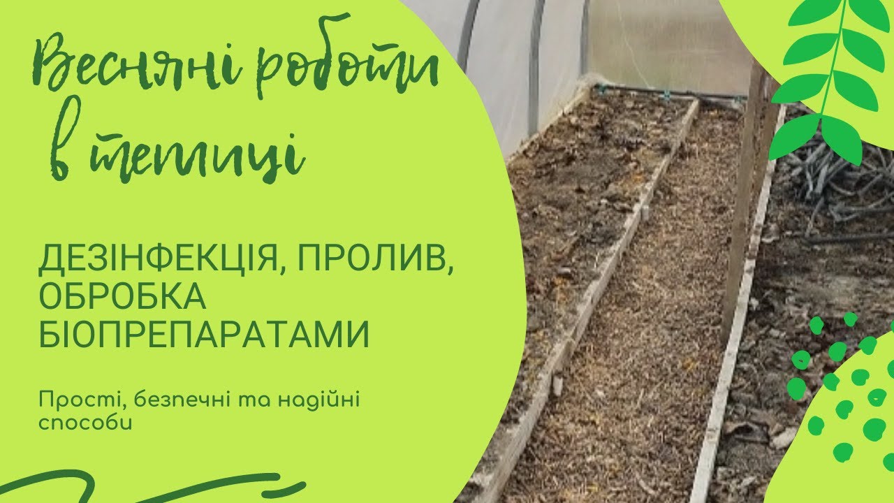 Що необхідно  зробити в теплиці навесні: дезінфекція, пролив, біопрепарати