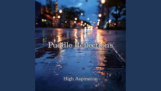 Puddle Reflections