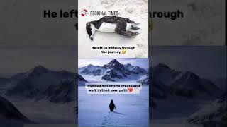The Penguin That Walked Toward Certain Death & Teaches #philotv #notaphily #beakman #robertaickman