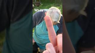 While recording #funny #irl #backyard #thebird #middlefinger
