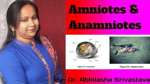 Amniotes & Anamniotes