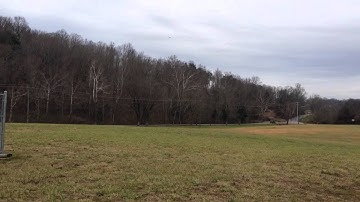 FT Delta scratch build maiden flight