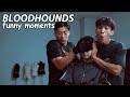 bloodhounds funny moments