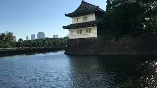 Viewing the Imperial Palace from the sidewalk along the moat