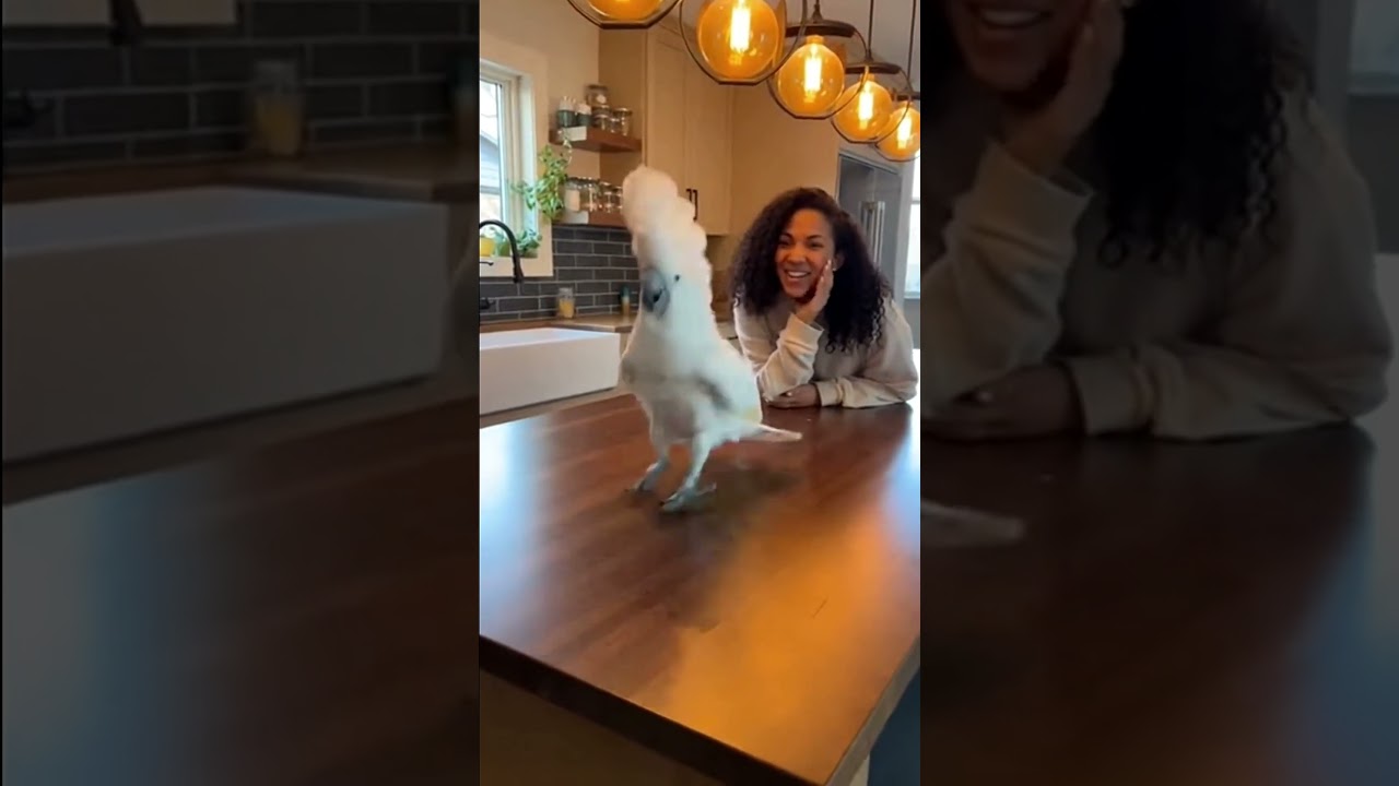 Танцуй под ритм, брось работу