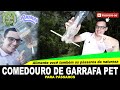 Faça Seu Comedouro de Garrafa Pet Para Pássaros