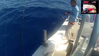 Pink Snapper caught on custom inchiku 180gr using the #EMSV4001 PE3 Slow vertical rod