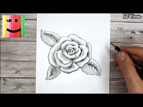 Vidéo: Comment Dessiner Une Rose Avec Un Crayon