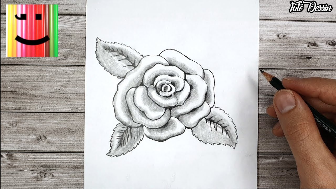 Rose dessinée au crayon de papier, Tutoriel dessin