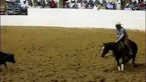 MISS STYLISH PEPTO 2008 NCHA Derby
